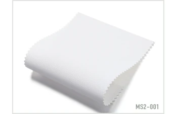 MS2