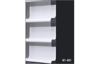 N1