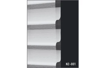 N2