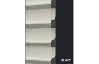 N2 - Image 2
